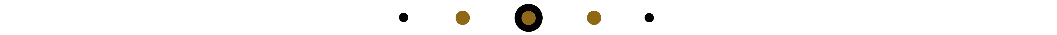divisore