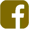 link facebook