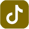 link tiktok